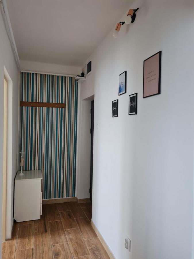 Dddd Apartament Cavnic Esterno foto