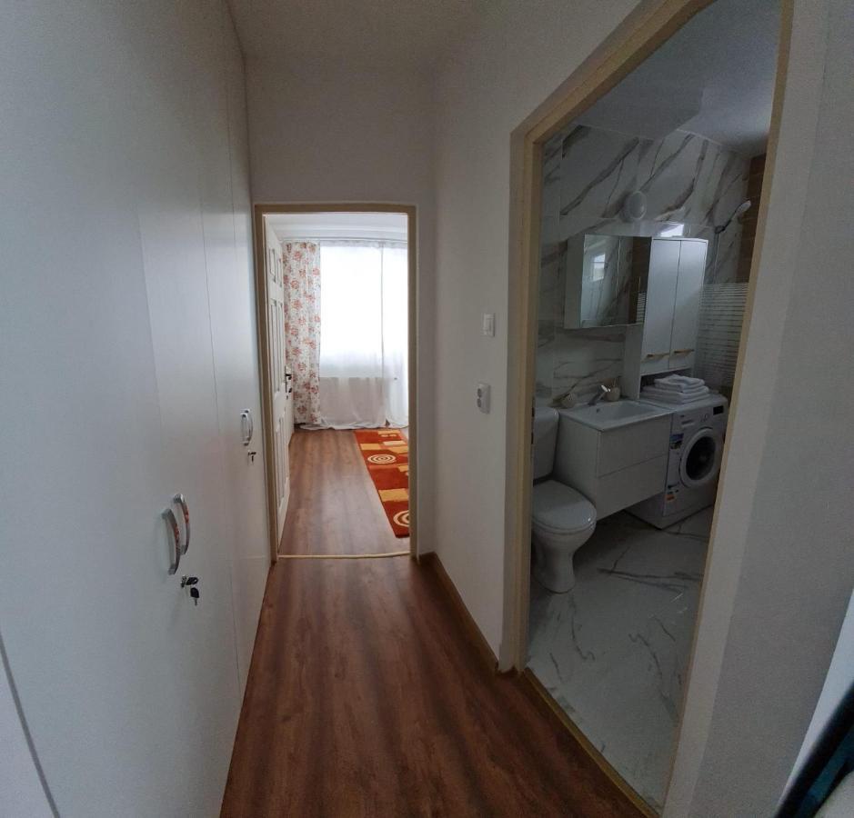 Dddd Apartament Cavnic Esterno foto