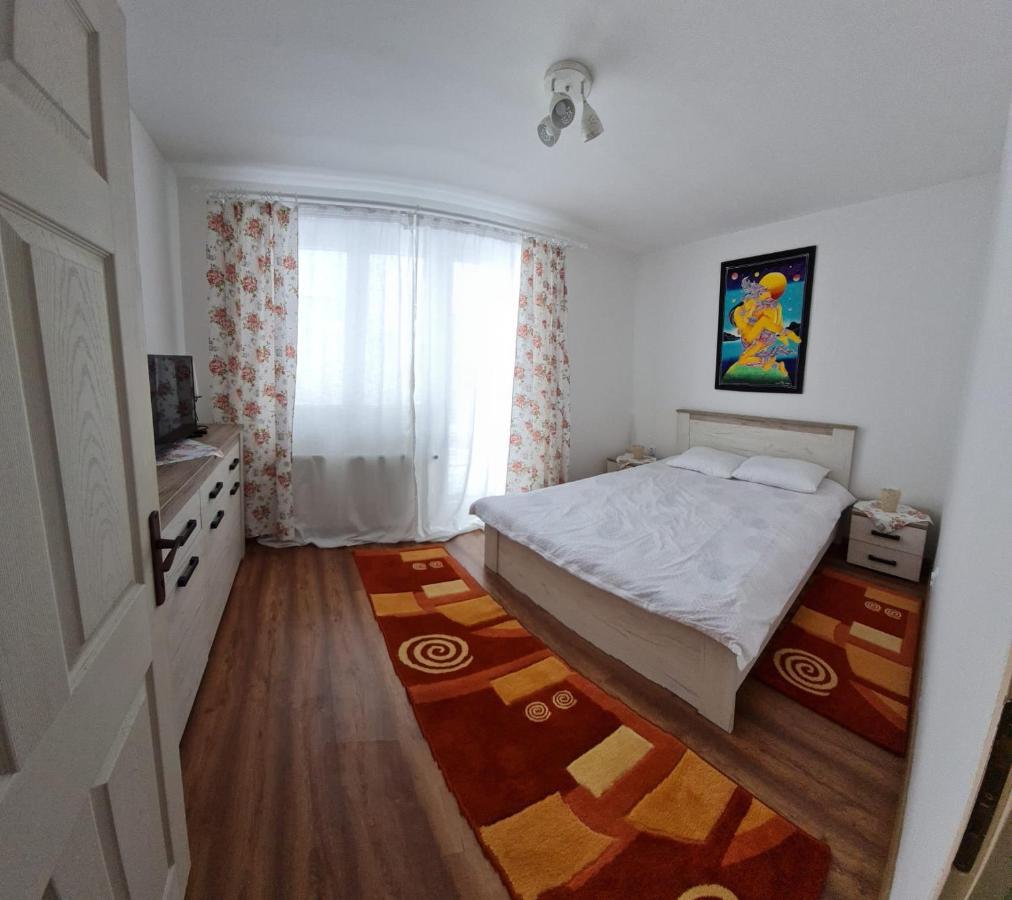 Dddd Apartament Cavnic Esterno foto